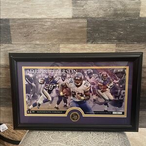 VINTAGE ADRIAN PETERSON Minnesota Vikings Highlandmint collection 38/5000 w/coin